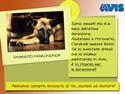 Il Mese Parma giugno 2015